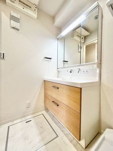 ゼフィール 102号-9