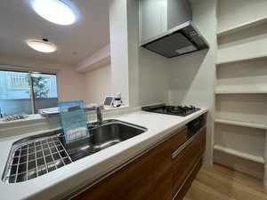 ＴＳステージ小島新田 101号-5