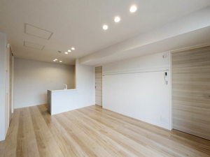 ブラッサムガーデン武蔵小杉 405号-3