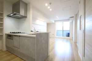 ブラッサムガーデン武蔵小杉 405号-7