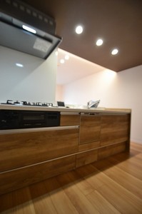 トレジャー大谷戸 103号-9