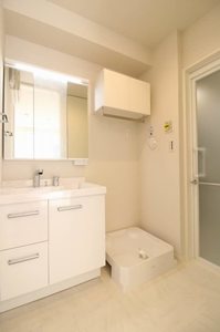 プルニエⅠ 301号-8