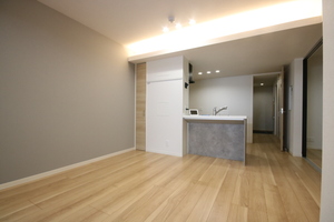 トラストメゾン武蔵小杉 102号-2