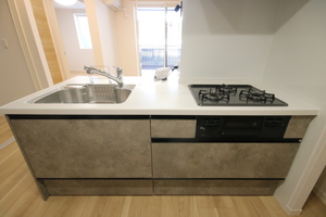 トラストメゾン武蔵小杉 102号-10