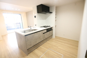 トラストメゾン武蔵小杉 102号-11