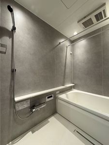 ヴィリジアン陣屋Ⅰ 207号-10