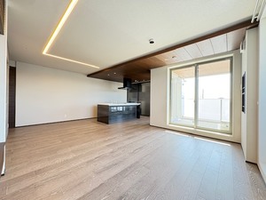 アウリスタ 203号-2