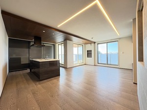 アウリスタ 203号-3