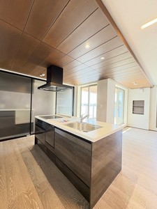 アウリスタ 203号-6