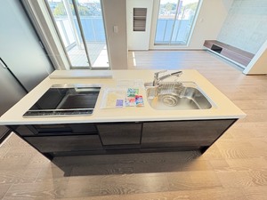 アウリスタ 203号-7