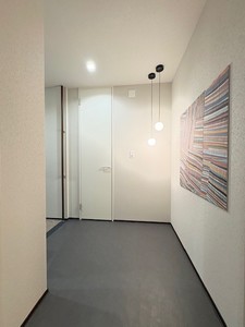 アウリスタ 203号-11