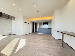 アウリスタ 205号-2