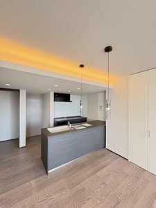 アウリスタ 205号-7