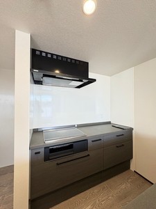 アウリスタ 205号-8