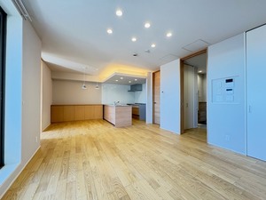 アウリスタ 302号-2