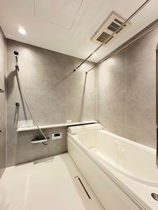 アウリスタ 302号-10