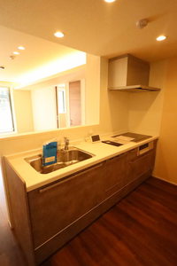 アスターミキ 202号-4