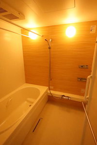 アスターミキ 202号-9