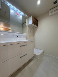 アスターミキ 208号-9