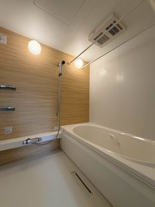 アスターミキ 301号-9