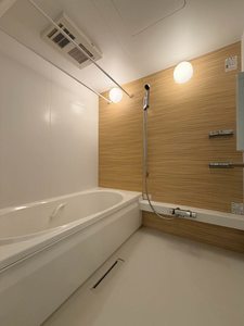 アスターミキ 302号-8