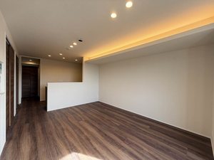 アスターミキ 306号-3