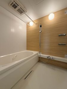 アスターミキ 307号-8