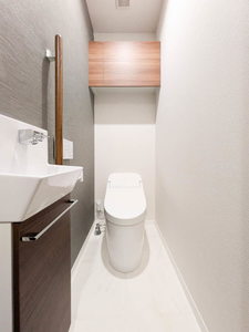 アンジュール新川崎 301号-10