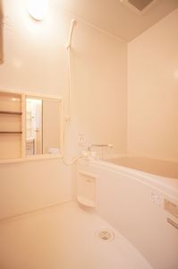 Ｂｉｒｄ　Ｗｏｏｄ　小杉 201号-7