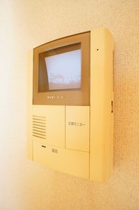 Ｂｉｒｄ　Ｗｏｏｄ　小杉 201号-10