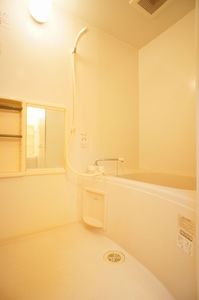 Ｂｉｒｄ　Ｗｏｏｄ　小杉 205号-6