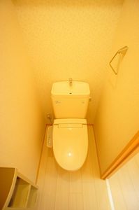 Ｂｉｒｄ　Ｗｏｏｄ　小杉 205号-8