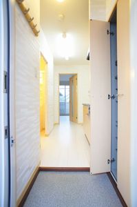 Ｂｉｒｄ　Ｗｏｏｄ　小杉 205号-11