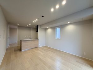 ラピスール 205号-3