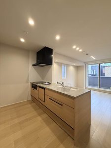ラピスール 205号-6