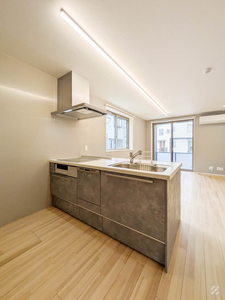 グレイッシュフジシマ 102号-7