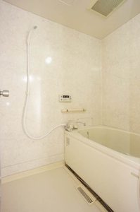 第三長嶋ハイツ 105号-9