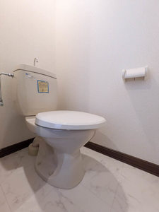 ハイツ大山 102号-11