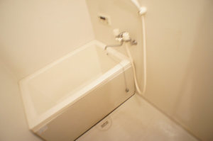 ディアスみたけ 202号-11