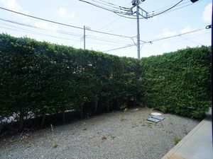 グリーンサイト湘南A 102号-6