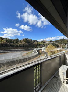 エバーグリーン 201号-13