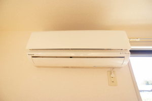 グリーングラスＫ 101号-11