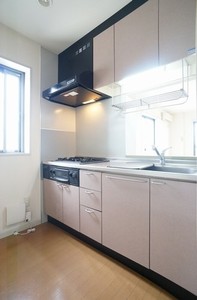 リバーサイドフレアⅡ 202号-3