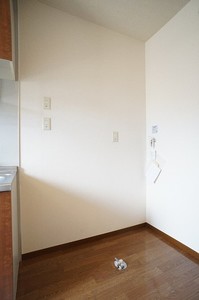 ミレニアム21 202号-5