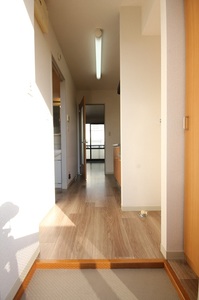 グランドゥール藤ノ木 202号-11