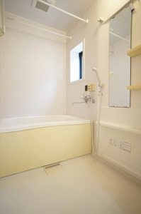 PRIM ROSE A 101号-8