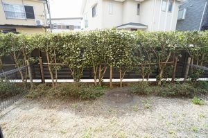 オーキッドⅠ 102号-8