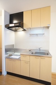 セントラルパインⅠ 103号-10