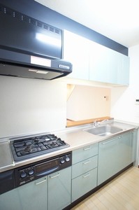 ロジュマン鶴間Ａ 101号-4