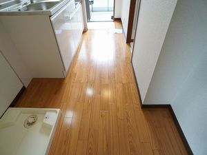 サウスフラット 205号-12